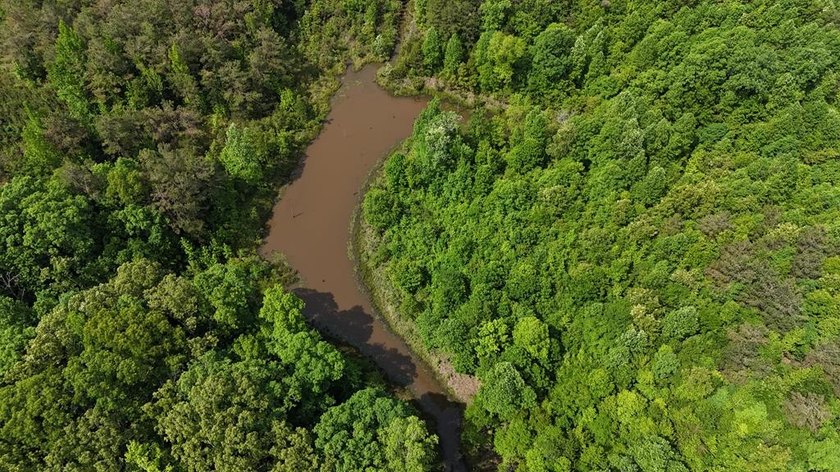 Located just north of Bruce, this 39 acre tract offers a strong - photo 8