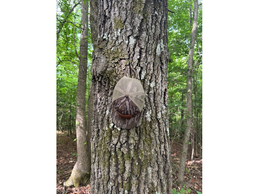 Located just north of Bruce, this 39 acre tract offers a strong - photo 9