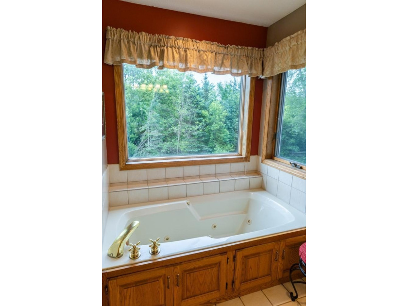Impeccably maintained home in a picturesque May Township setting - photo 21