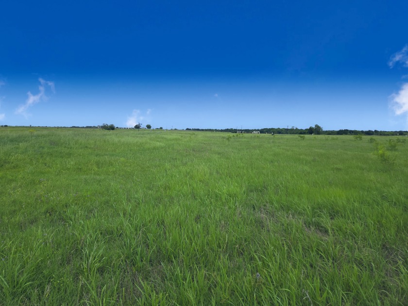 Beautiful 1.03 ac lot in Richland Cove, on Richland Chambers Lake - photo 5