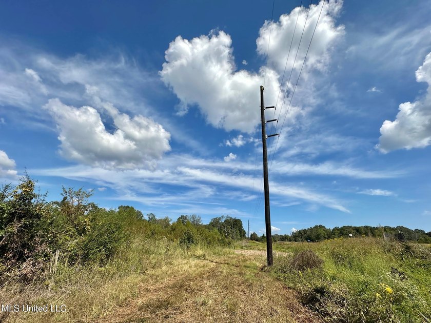 +/- 37 acres located in the Tuscolameta Creek bottom along the - photo 18