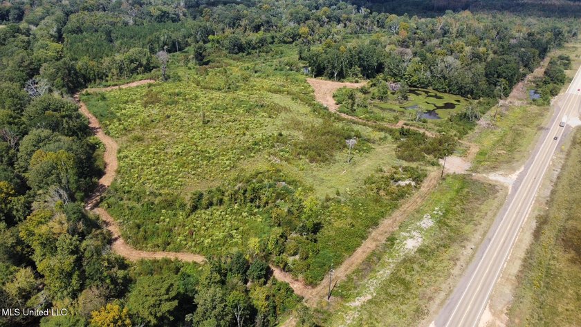 +/- 37 acres located in the Tuscolameta Creek bottom along the - photo 21