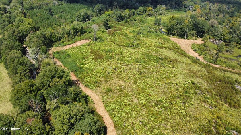 +/- 37 acres located in the Tuscolameta Creek bottom along the - photo 22
