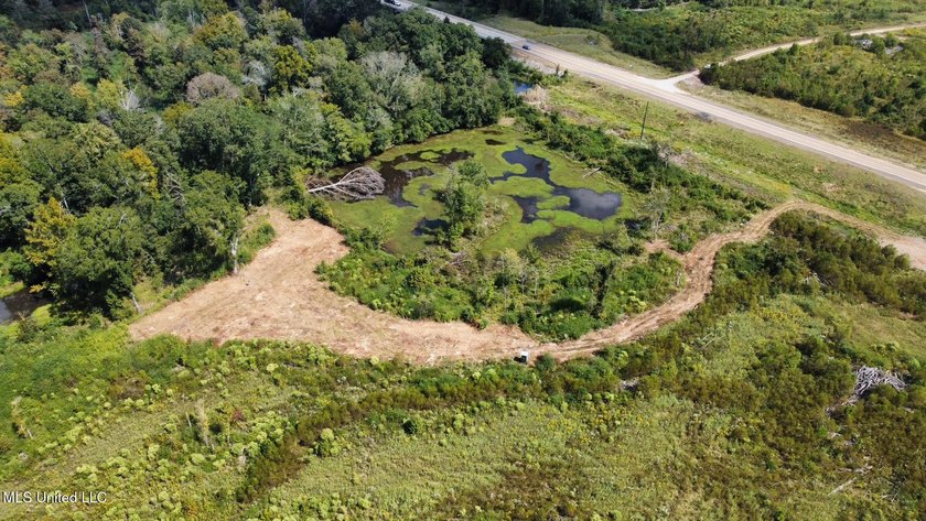 +/- 37 acres located in the Tuscolameta Creek bottom along the - photo 24