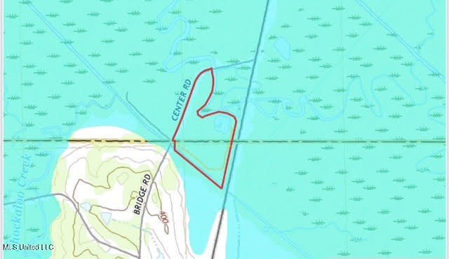 +/- 37 acres located in the Tuscolameta Creek bottom along the - photo 28