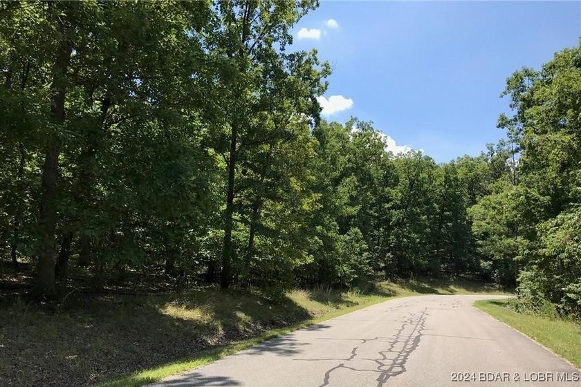 This Building Lot is in the prestigious Porto Cima Community - photo 2