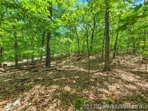 This Building Lot is in the prestigious Porto Cima Community - photo 3
