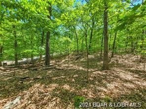 This Building Lot is in the prestigious Porto Cima Community - photo 3