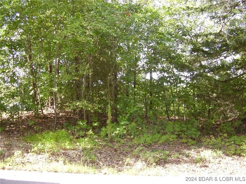 This Building Lot is in the prestigious Porto Cima Community - photo 4