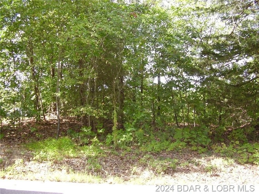 This Building Lot is in the prestigious Porto Cima Community - photo 4