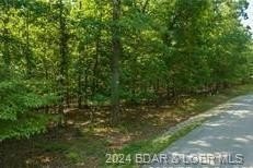 Four Seasons Building Lot that is fairly level and wooded - photo 3