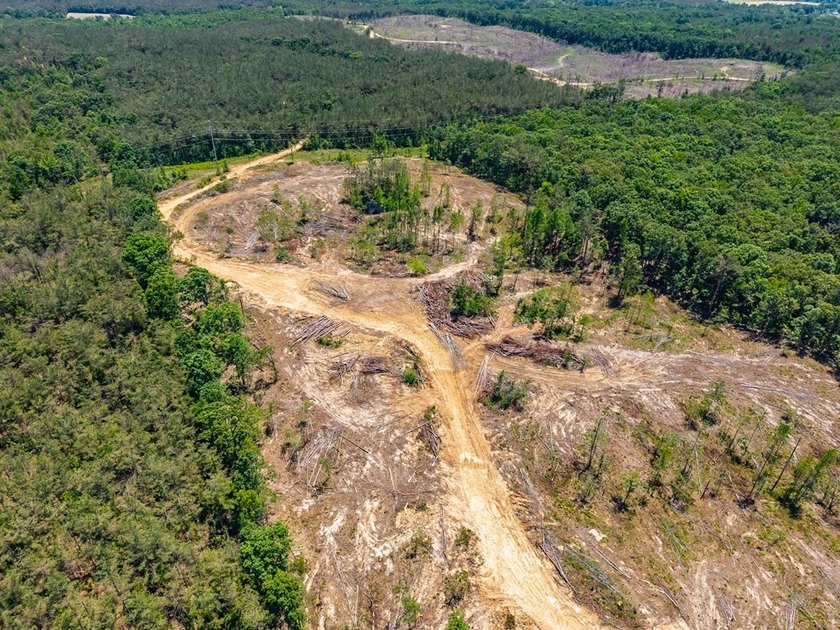 40.00 acres of recreational land located just northeast of - photo 4
