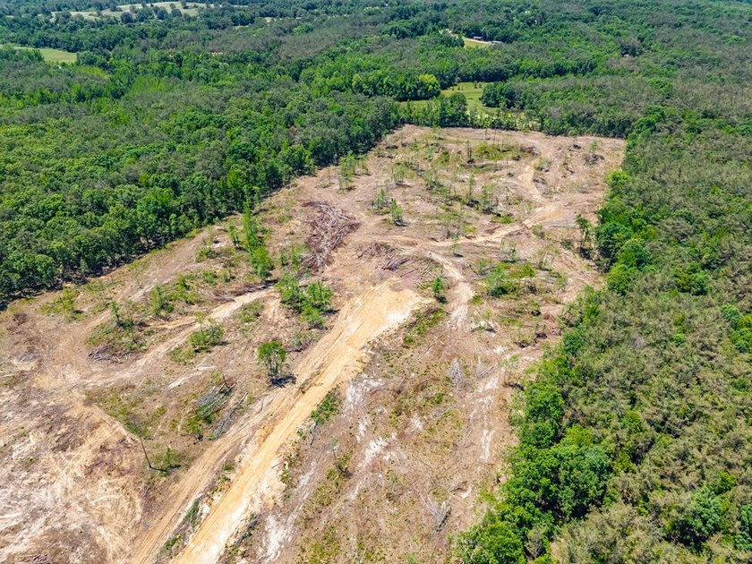 40.00 acres of recreational land located just northeast of - photo 5
