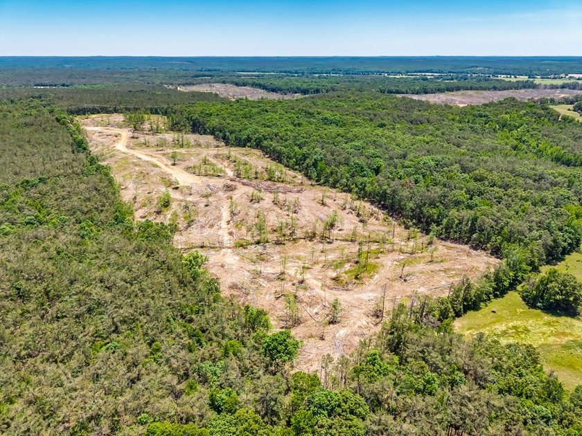 40.00 acres of recreational land located just northeast of - photo 6