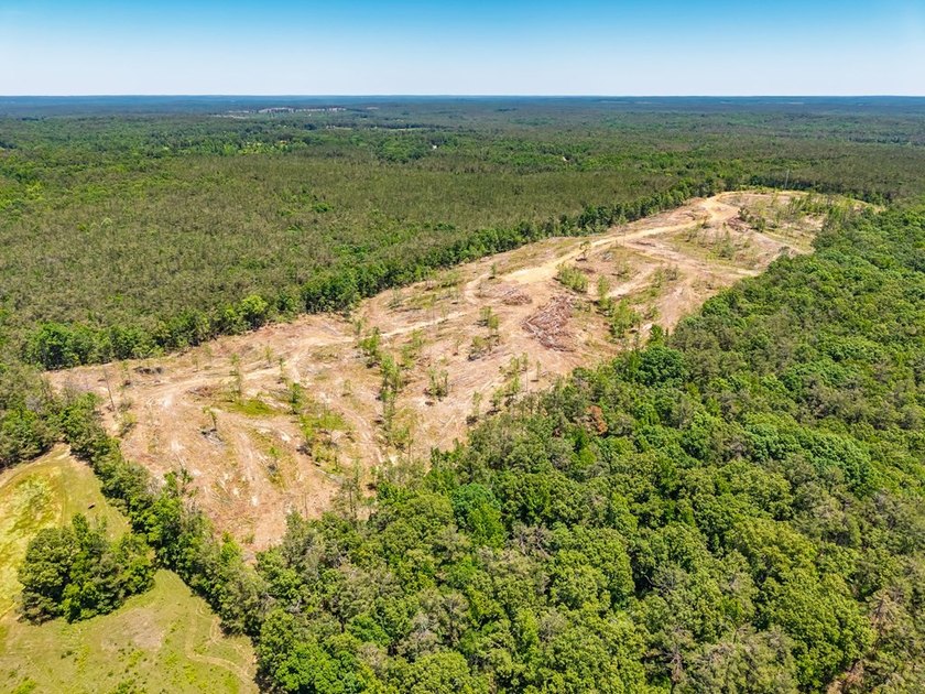 40.00 acres of recreational land located just northeast of - photo 8