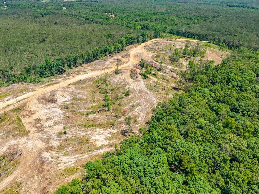 40.00 acres of recreational land located just northeast of - photo 10