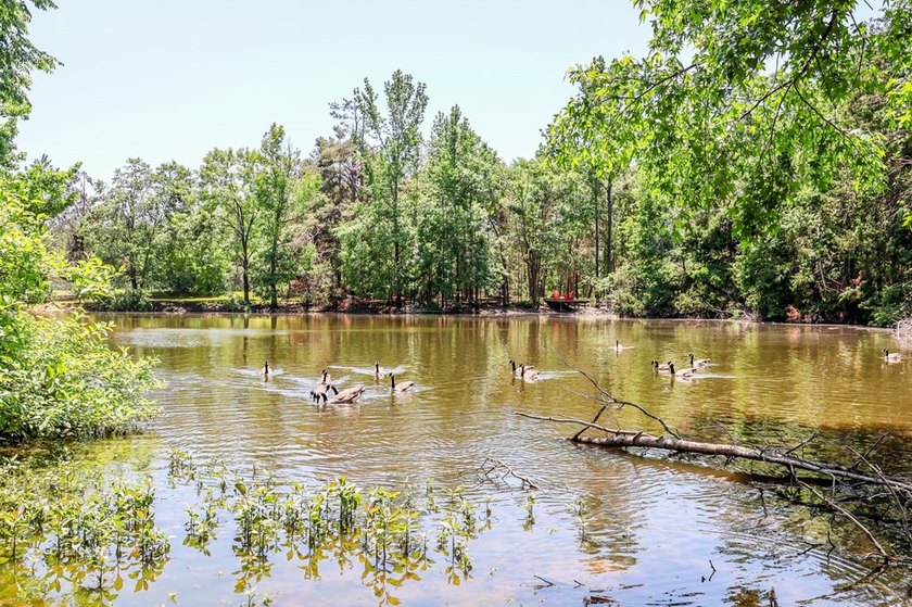 Tucked away in desirable Quail Creek Estates, this spacious - photo 4