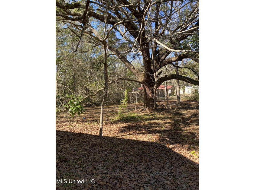 So much to offer in this Southern Coastal home. This ranch style - photo 31