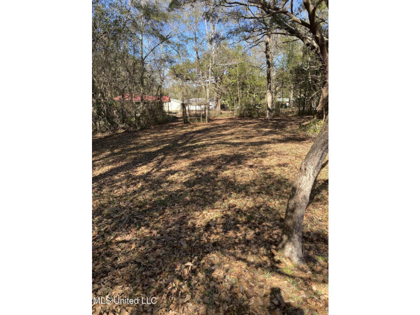 So much to offer in this Southern Coastal home. This ranch style - photo 32