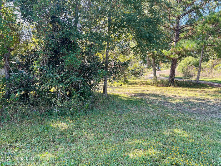 Desirable Lot Near the Beautiful Beaches of Waveland! Oversized - photo 2