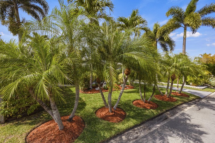 Beautiful 3BR/2BA CBS home with NO HOA-perfect as a primary - photo 5