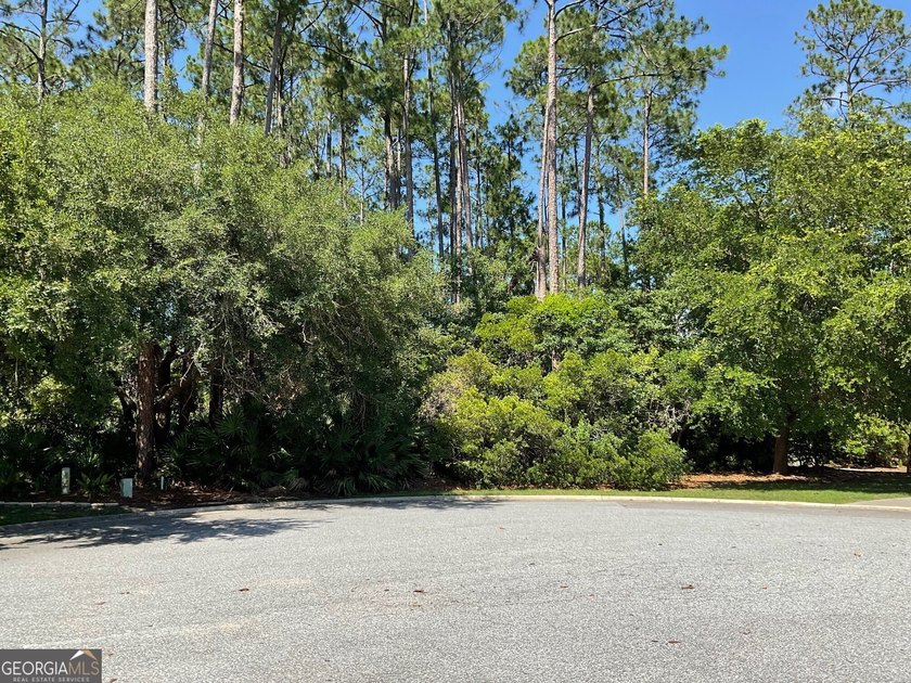One of the few and best lots left on the end of desirable - photo 2