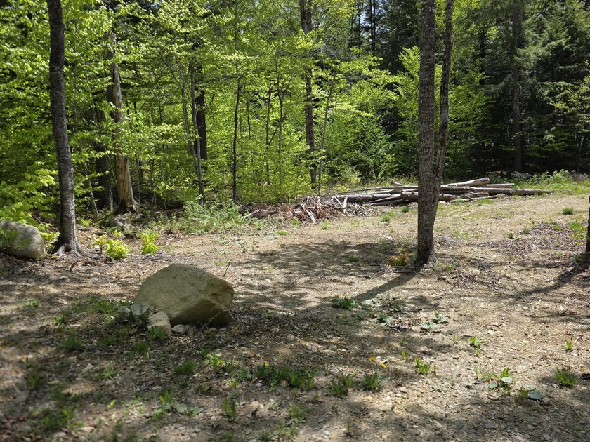 Beautiful south-facing lakefront parcel on 3,300-acre - photo 10