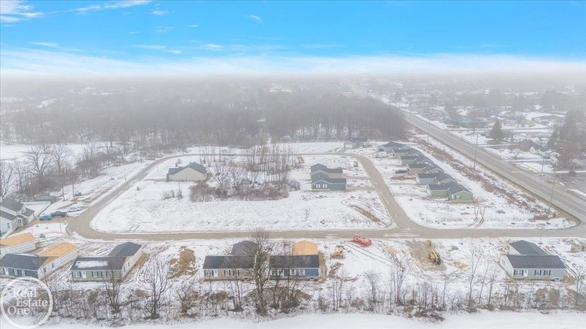 Fully developed site condominium in a great area with the - photo 12