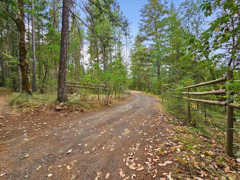 Here on Onion Mt, you can breathe. It feels secluded and - photo 51