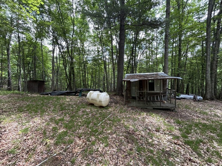 Escape to the serenity of the mountains with this charming cabin - photo 21