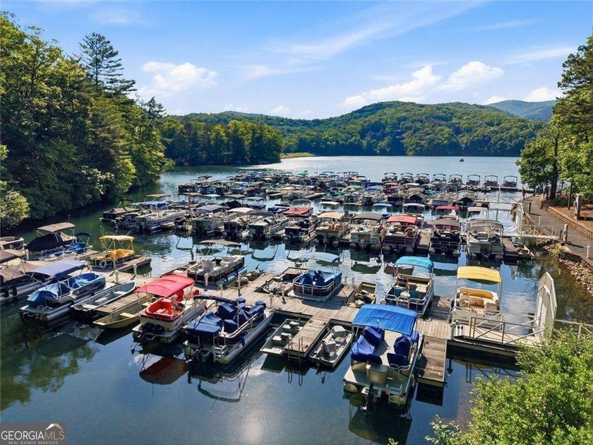 Live the Big Canoe lifestyle in the heart of North Georgia with - photo 5