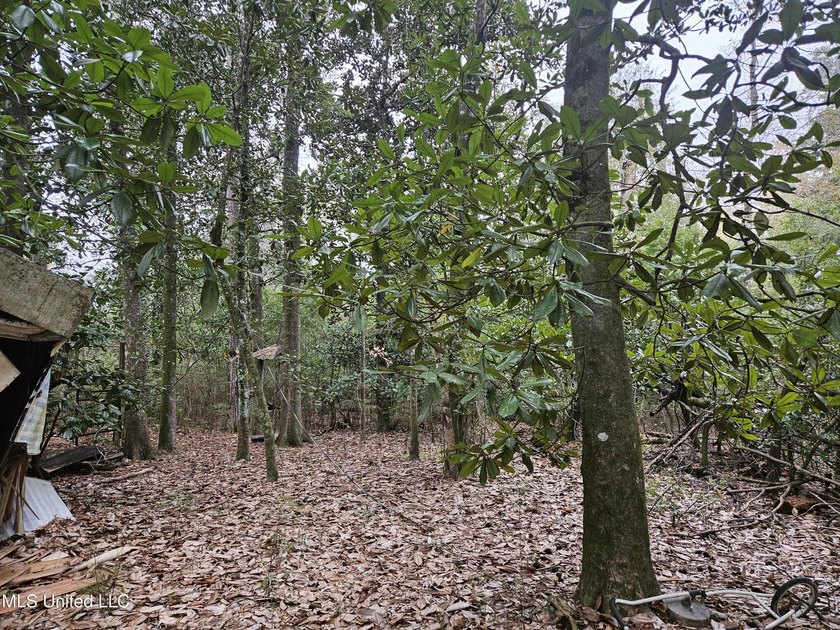 Discover a rare riverfront offering on the scenic Biloxi River - photo 11