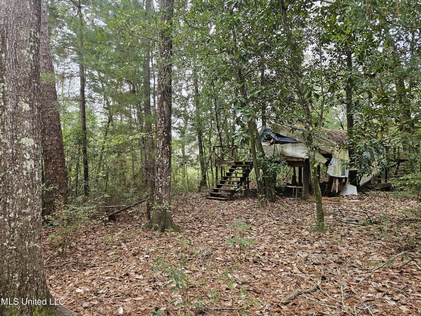 Discover a rare riverfront offering on the scenic Biloxi River - photo 12
