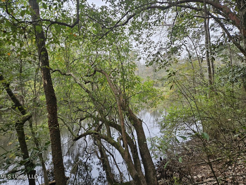 Discover a rare riverfront offering on the scenic Biloxi River - photo 15