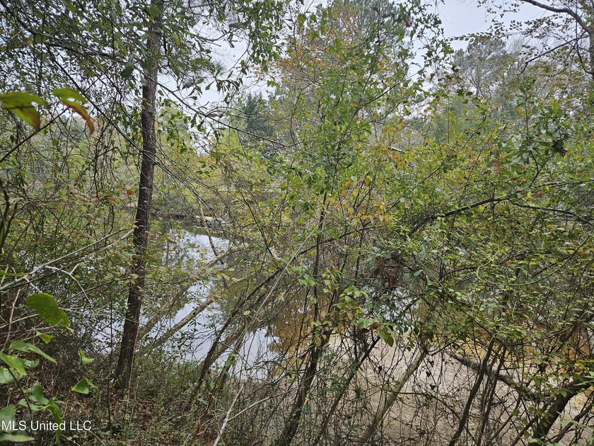 Discover a rare riverfront offering on the scenic Biloxi River - photo 17