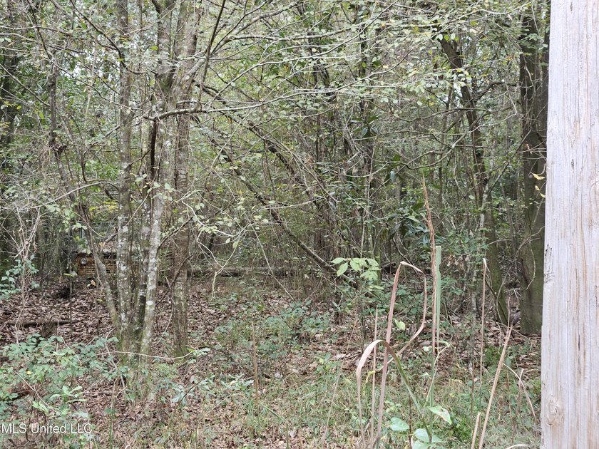 Discover a rare riverfront offering on the scenic Biloxi River - photo 18