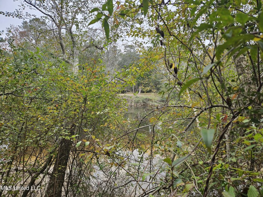 Discover a rare riverfront offering on the scenic Biloxi River - photo 20