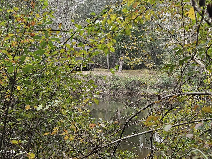 Discover a rare riverfront offering on the scenic Biloxi River - photo 21