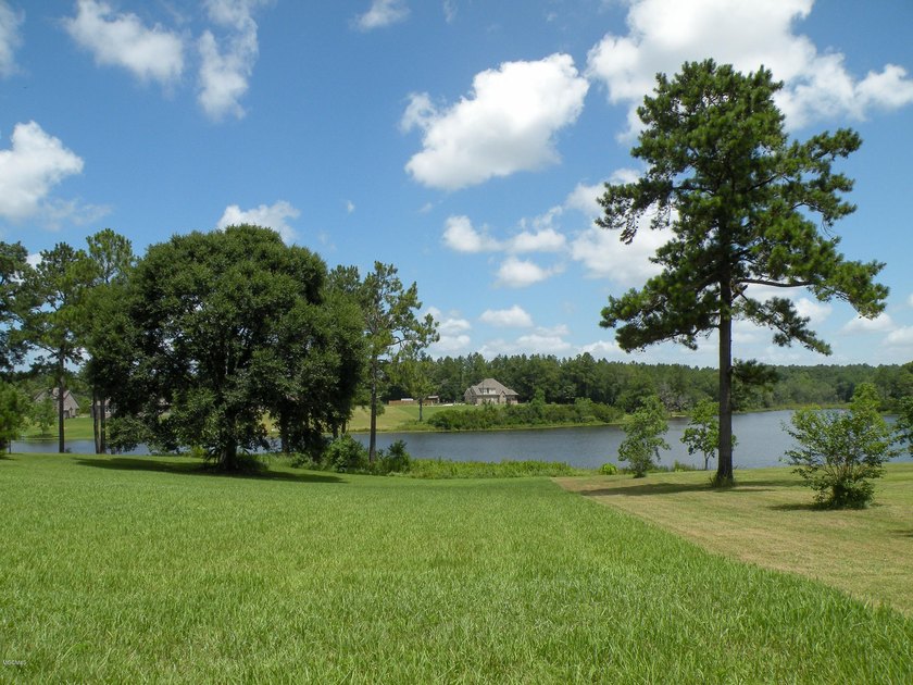 Great new home site on the lake - photo 14
