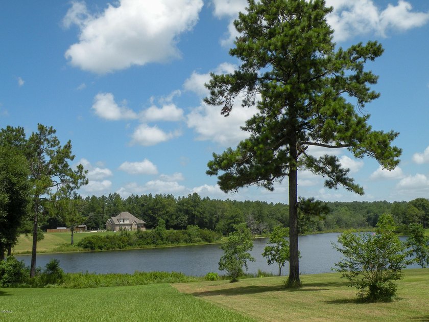 Great new home site on the lake - photo 15