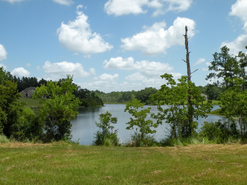 Great new home site on the lake - photo 18