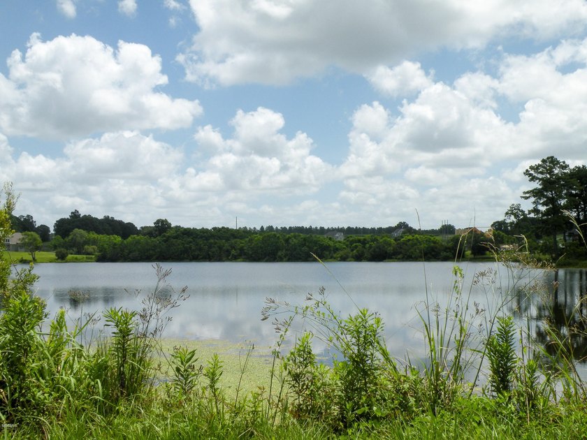 Great new home site on the lake - photo 30