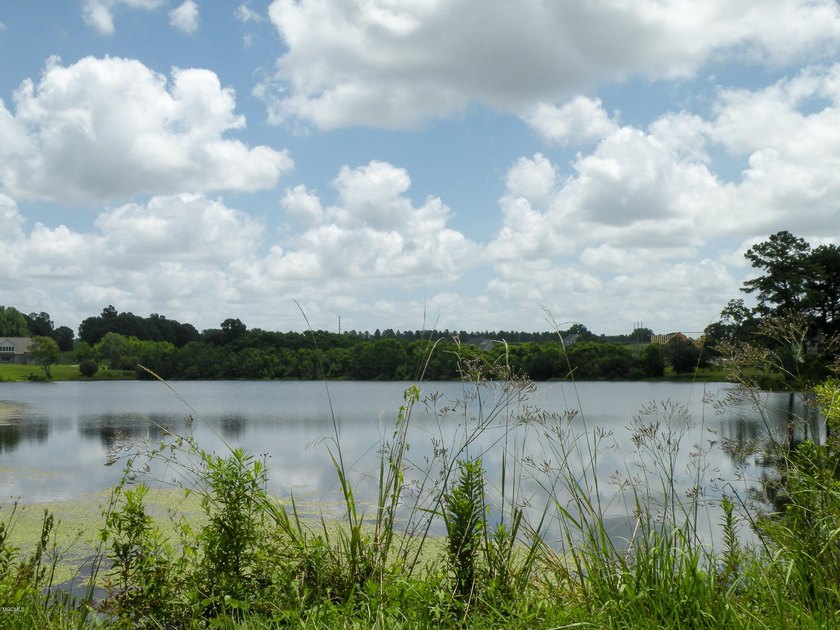 Great new home site on the lake - photo 31