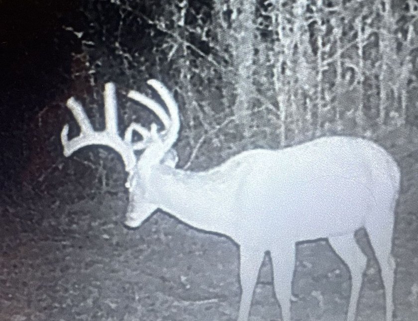 Turn-key hunting camp west of Como! This 177 contiguous acre - photo 10