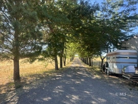 142 Co. Rd. 147 Cedarville, Ca. Escape to the beauty and - photo 16