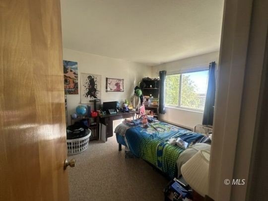 142 Co. Rd. 147 Cedarville, Ca. Escape to the beauty and - photo 29
