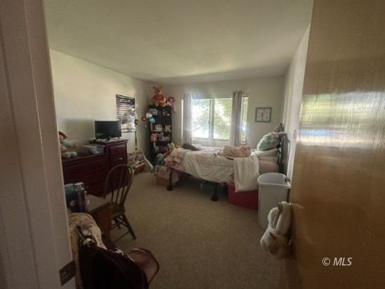 142 Co. Rd. 147 Cedarville, Ca. Escape to the beauty and - photo 30