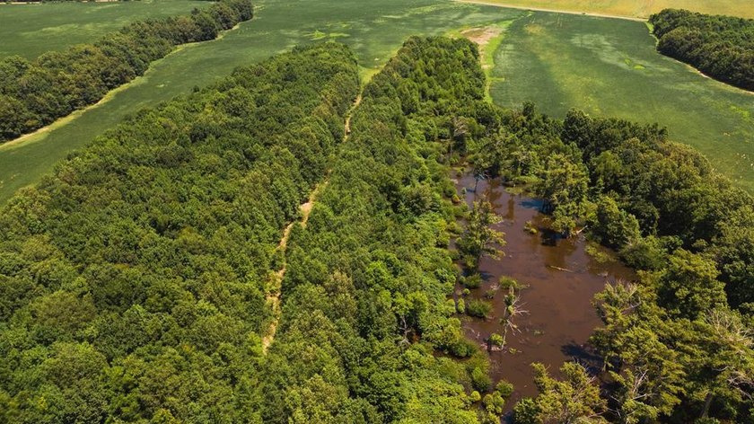 The Birdie 70: Farm &amp; Hunt Investment Discover a rare 70-acre - photo 2