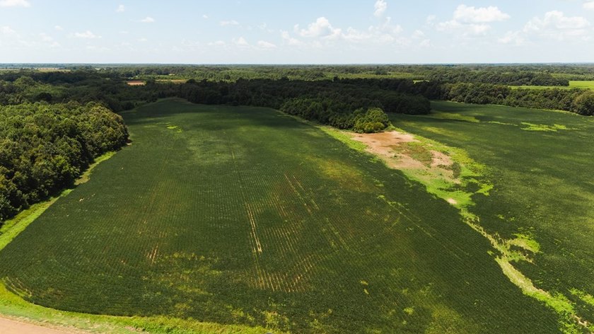 The Birdie 70: Farm &amp; Hunt Investment Discover a rare 70-acre - photo 3