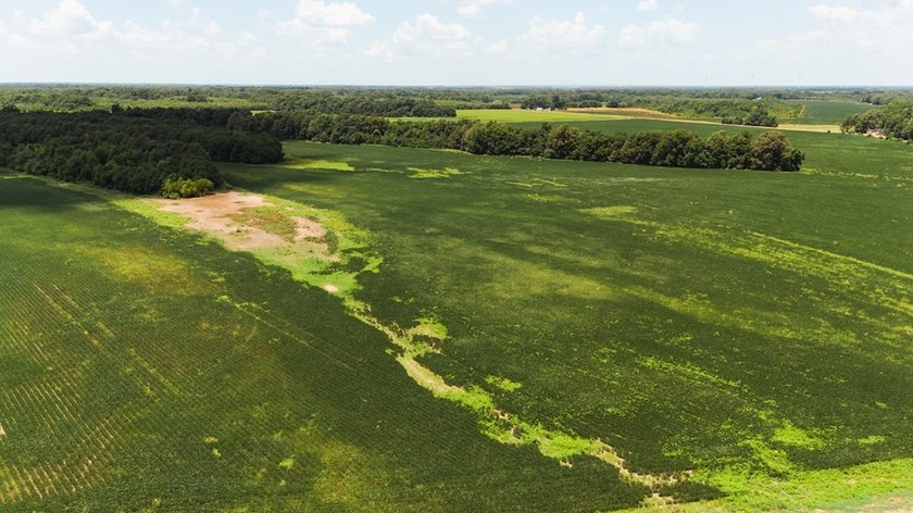 The Birdie 70: Farm &amp; Hunt Investment Discover a rare 70-acre - photo 5